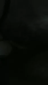 一点都不真实！！