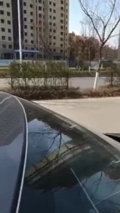 浪翁荡儿春意浓