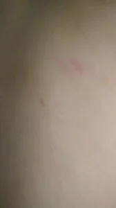 影院第九达达兔