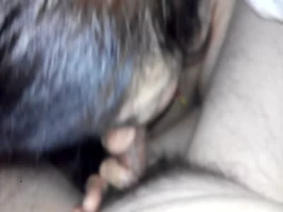 肛交，手势验证